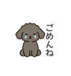 落書き風トイプー グレー（日常会話）（個別スタンプ：8）