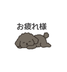 落書き風トイプー グレー（日常会話）（個別スタンプ：9）