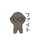 落書き風トイプー グレー（日常会話）（個別スタンプ：14）