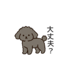 落書き風トイプー グレー（日常会話）（個別スタンプ：18）