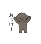 落書き風トイプー グレー（日常会話）（個別スタンプ：19）