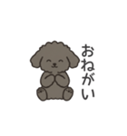 落書き風トイプー グレー（日常会話）（個別スタンプ：20）