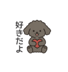 落書き風トイプー グレー（日常会話）（個別スタンプ：21）
