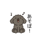 落書き風トイプー グレー（日常会話）（個別スタンプ：22）