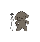 落書き風トイプー グレー（日常会話）（個別スタンプ：25）