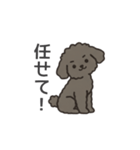 落書き風トイプー グレー（日常会話）（個別スタンプ：26）