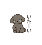 落書き風トイプー グレー（日常会話）（個別スタンプ：27）