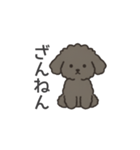 落書き風トイプー グレー（日常会話）（個別スタンプ：29）