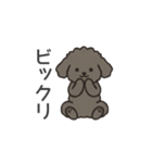 落書き風トイプー グレー（日常会話）（個別スタンプ：35）