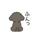 落書き風トイプー グレー（日常会話）（個別スタンプ：37）