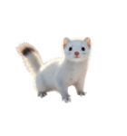 オコジョ 2 J（個別スタンプ：1）