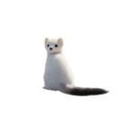 オコジョ 2 J（個別スタンプ：5）