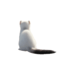 オコジョ 2 J（個別スタンプ：6）