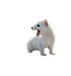 オコジョ 2 J（個別スタンプ：7）