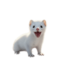 オコジョ 2 J（個別スタンプ：9）