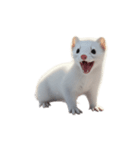 オコジョ 2 J（個別スタンプ：10）