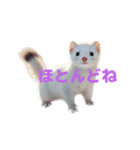 オコジョ 2 J（個別スタンプ：11）