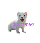 オコジョ 2 J（個別スタンプ：12）