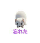 オコジョ 2 J（個別スタンプ：18）