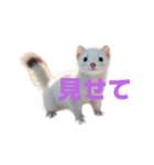 オコジョ 2 J（個別スタンプ：27）