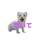 オコジョ 2 J（個別スタンプ：28）