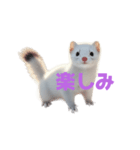 オコジョ 2 J（個別スタンプ：30）