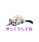 オコジョ 2 J（個別スタンプ：33）