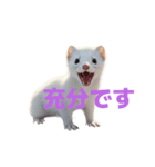 オコジョ 2 J（個別スタンプ：35）