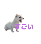 オコジョ 2 J（個別スタンプ：36）