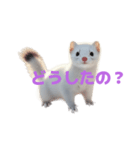 オコジョ 2 J（個別スタンプ：38）