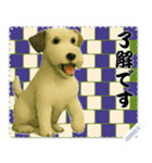 犬の メッセージ スタンプ 124（個別スタンプ：1）