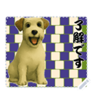 犬の メッセージ スタンプ 124（個別スタンプ：2）