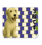 犬の メッセージ スタンプ 124（個別スタンプ：9）