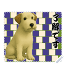 犬の メッセージ スタンプ 124（個別スタンプ：11）
