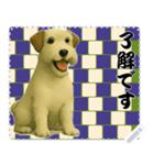 犬の メッセージ スタンプ 124（個別スタンプ：15）
