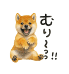 柴犬♡やる気ゼロ子犬（個別スタンプ：1）