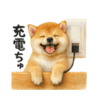柴犬♡やる気ゼロ子犬（個別スタンプ：3）