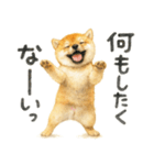 柴犬♡やる気ゼロ子犬（個別スタンプ：4）