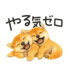 柴犬♡やる気ゼロ子犬（個別スタンプ：5）