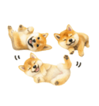 柴犬♡やる気ゼロ子犬（個別スタンプ：6）