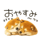 柴犬♡やる気ゼロ子犬（個別スタンプ：9）