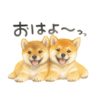 柴犬♡やる気ゼロ子犬（個別スタンプ：10）