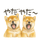 柴犬♡やる気ゼロ子犬（個別スタンプ：13）