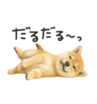 柴犬♡やる気ゼロ子犬（個別スタンプ：15）