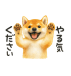 柴犬♡やる気ゼロ子犬（個別スタンプ：17）