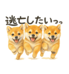 柴犬♡やる気ゼロ子犬（個別スタンプ：18）