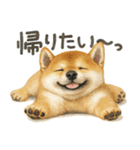 柴犬♡やる気ゼロ子犬（個別スタンプ：20）