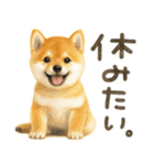 柴犬♡やる気ゼロ子犬（個別スタンプ：21）