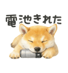 柴犬♡やる気ゼロ子犬（個別スタンプ：23）