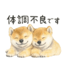 柴犬♡やる気ゼロ子犬（個別スタンプ：24）